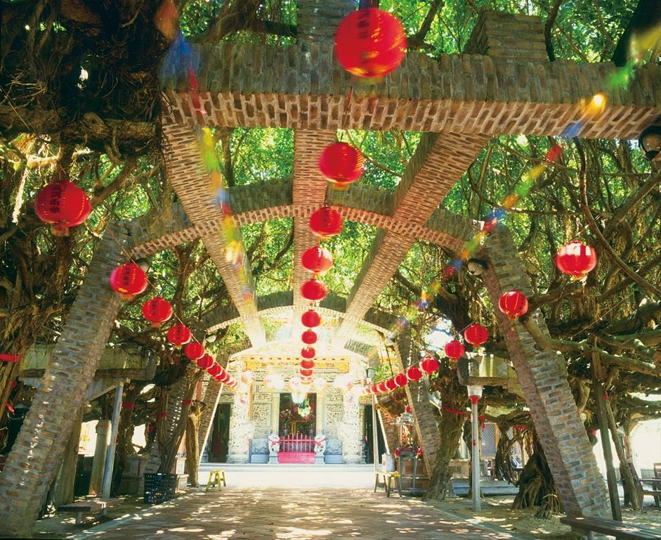 Tongliang Great Banyan 