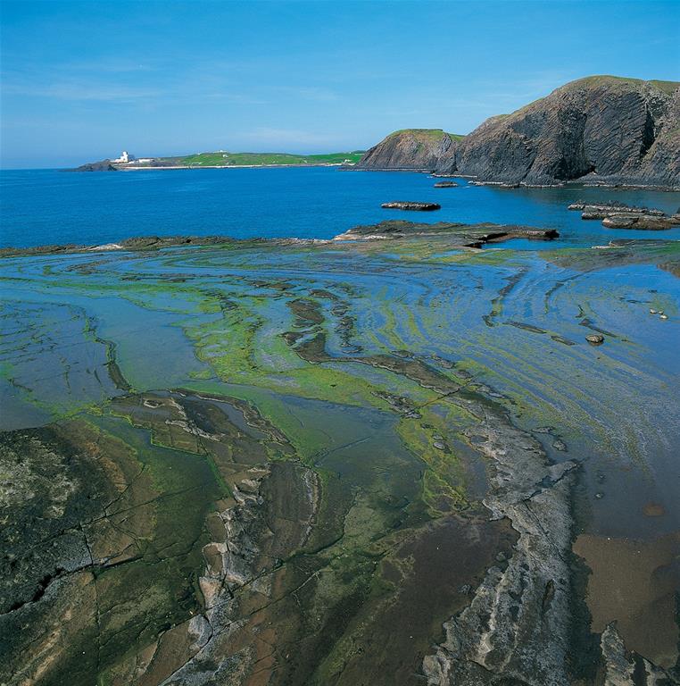 Dragon Sea-eroded Platform