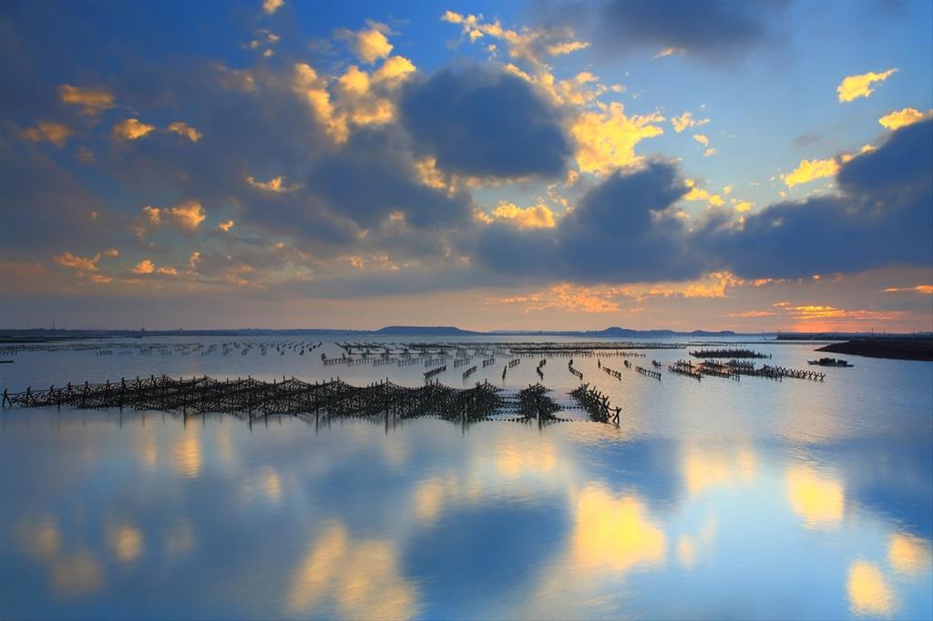 Caiyuan Leisure Fishery Farm 