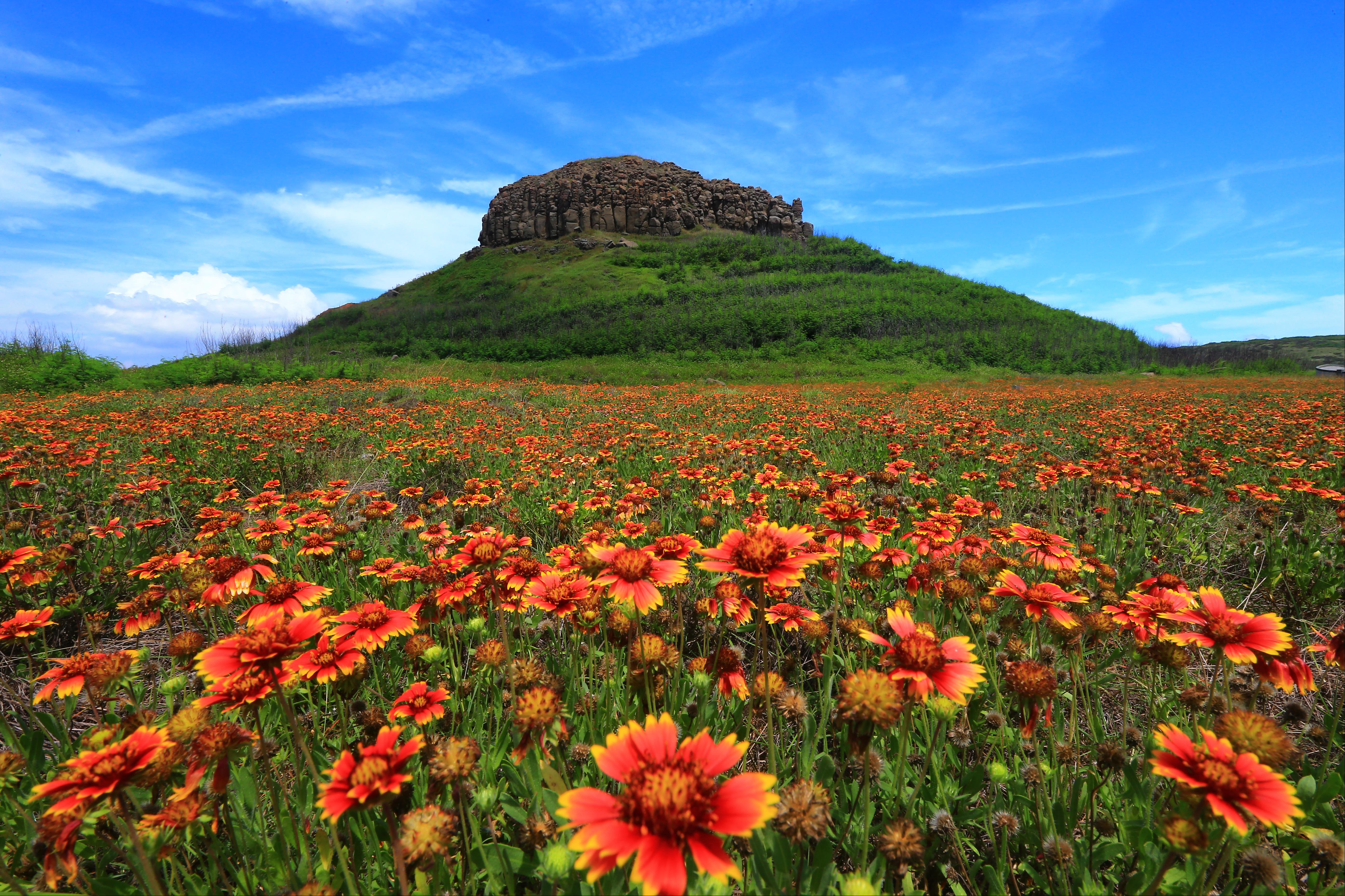 Niuxinshan (Celestial chrysanthemums)