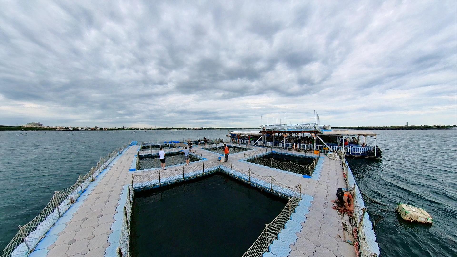 Caiyuan Leisure Fishery Farm 