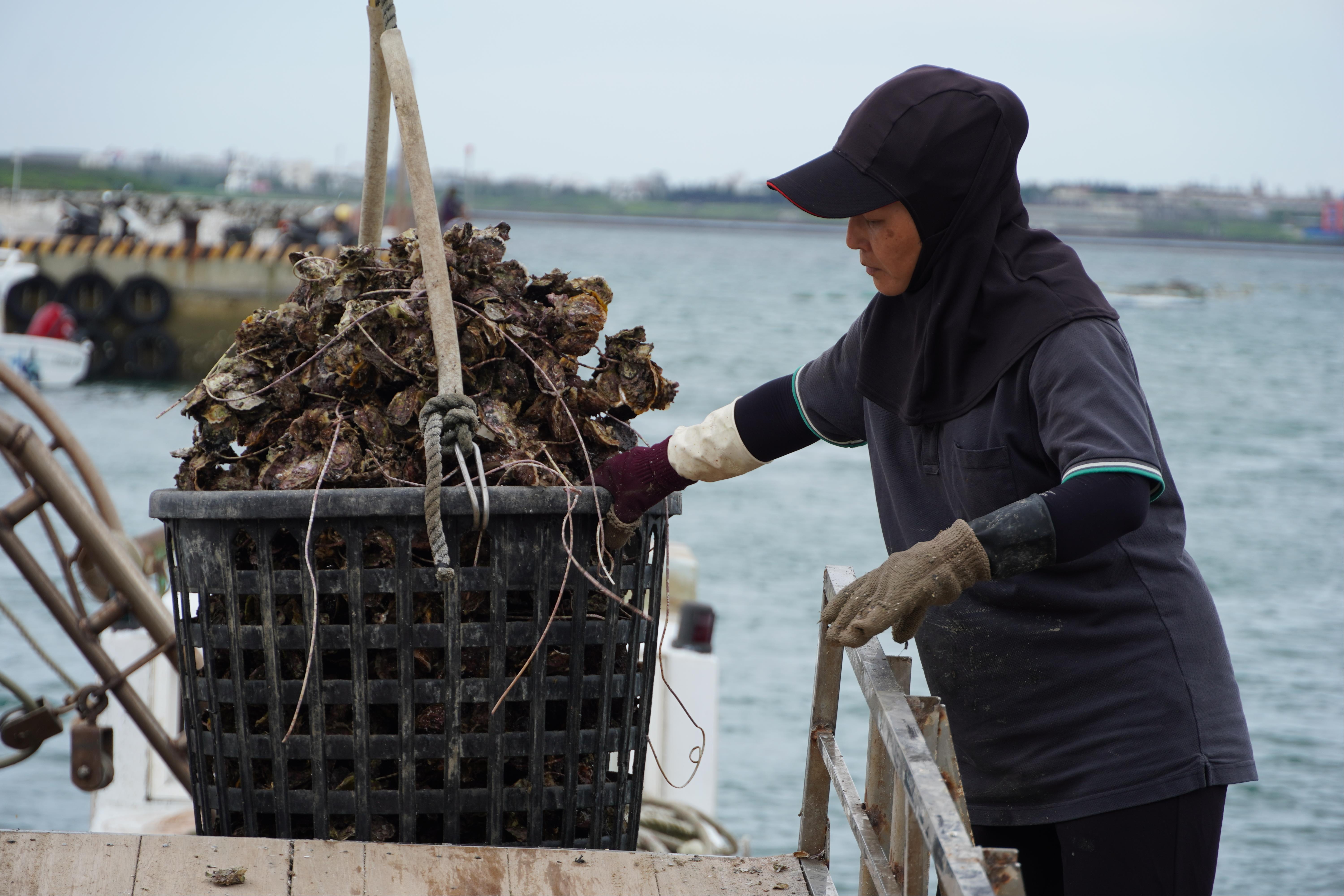 Caiyuan Leisure Fishery Farm 