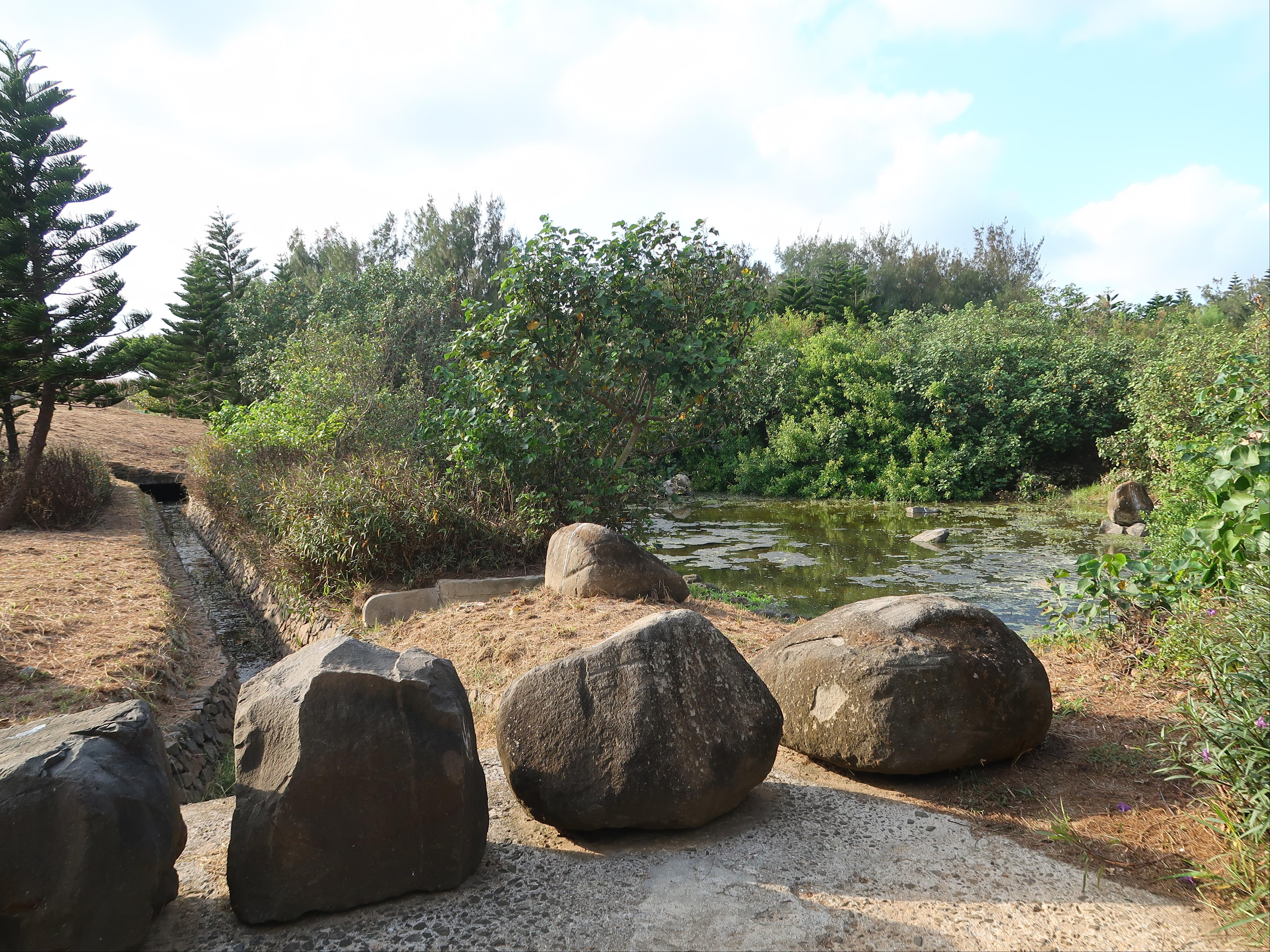 山水濕地公園