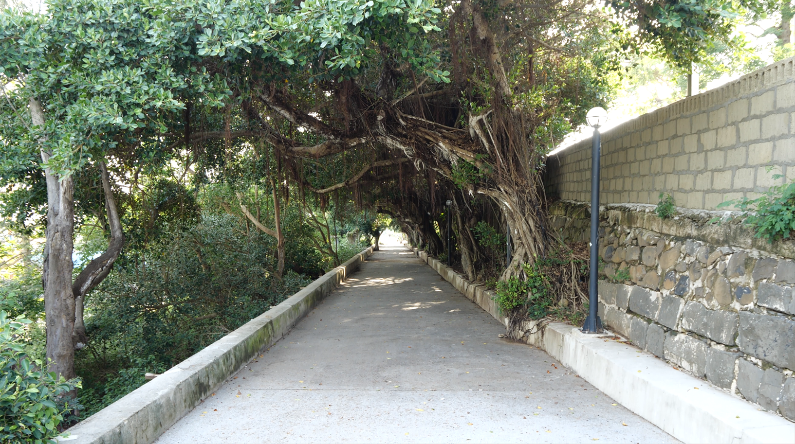 Lovers Lane and Shuncheng Gate