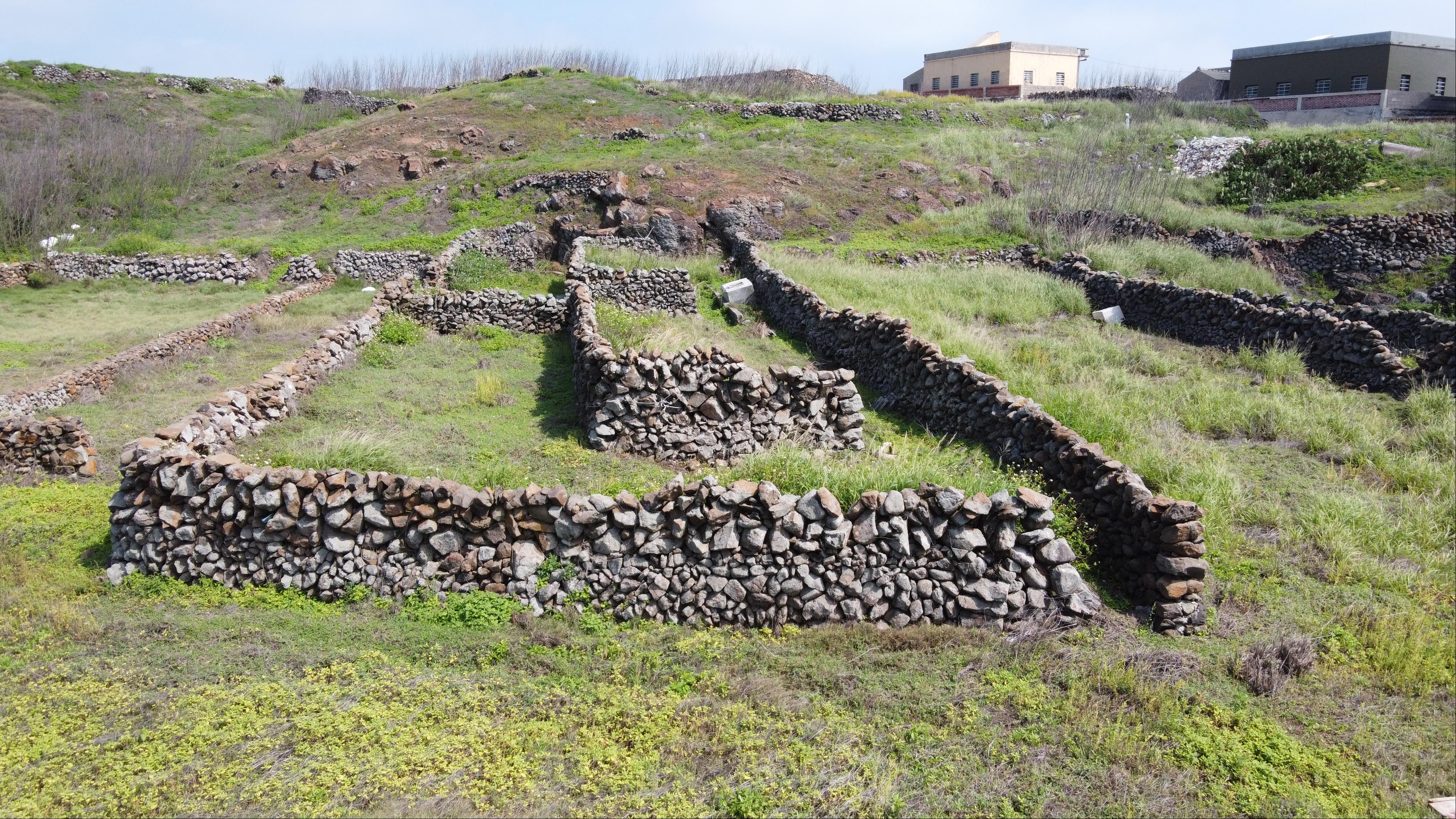 The vegetable houses