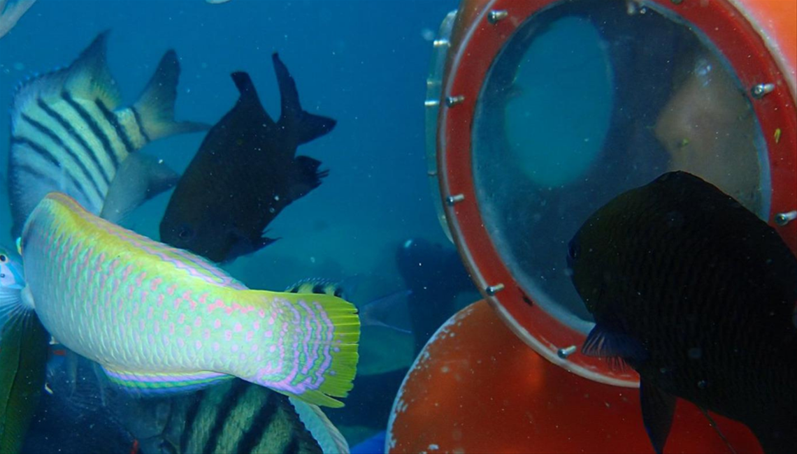 20250925093614500996