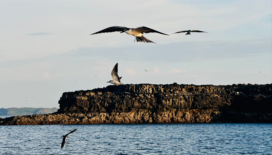 20250925093220549385