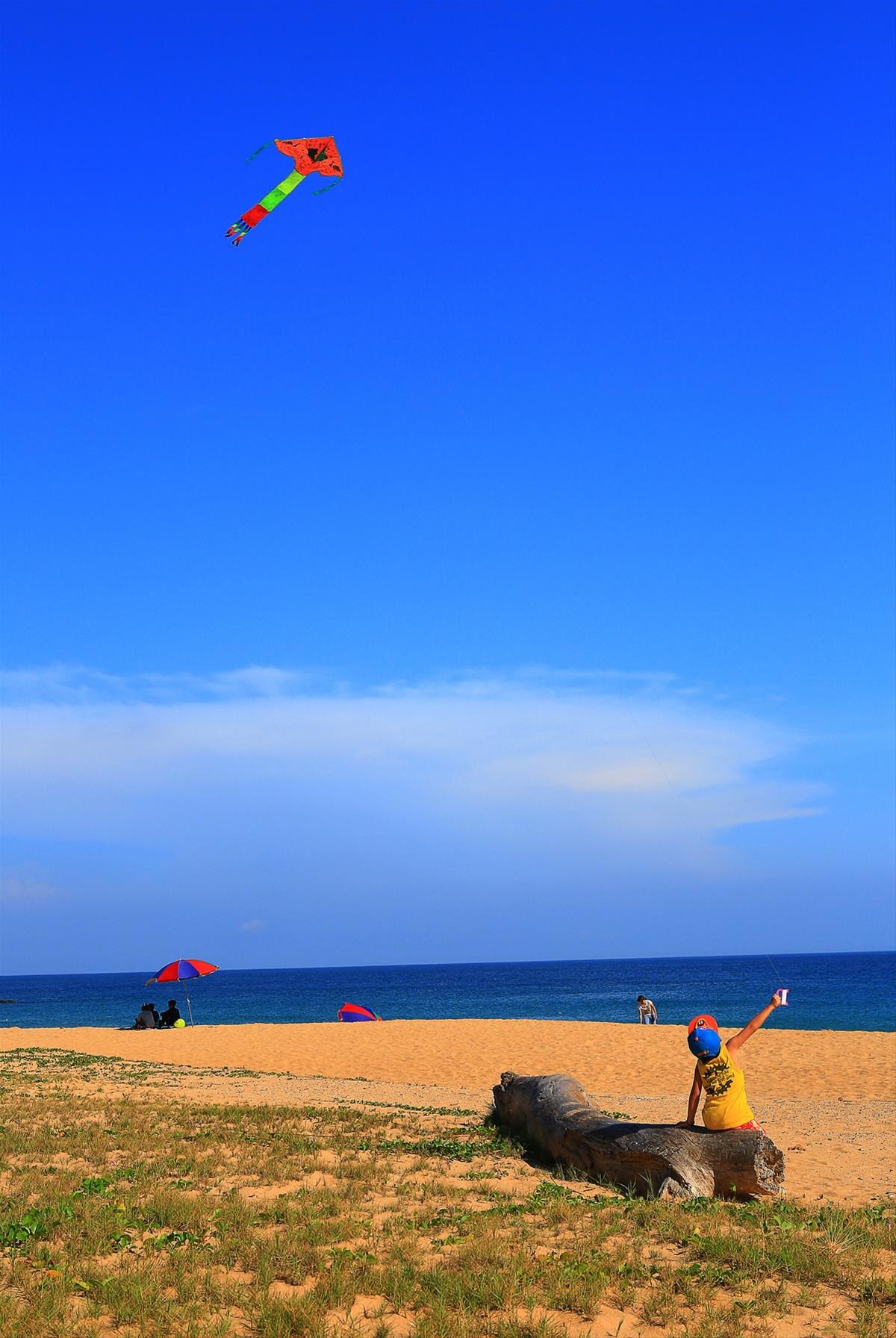 test-img