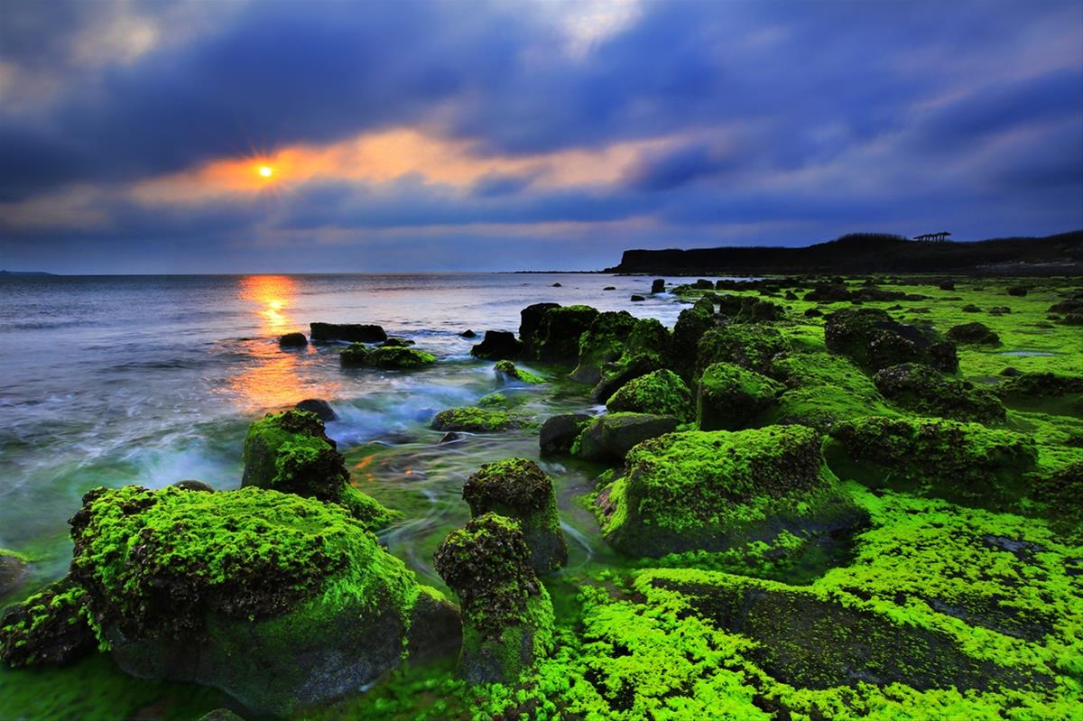 test-img