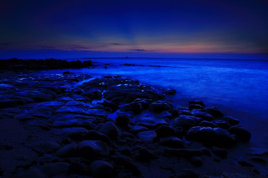 test-img