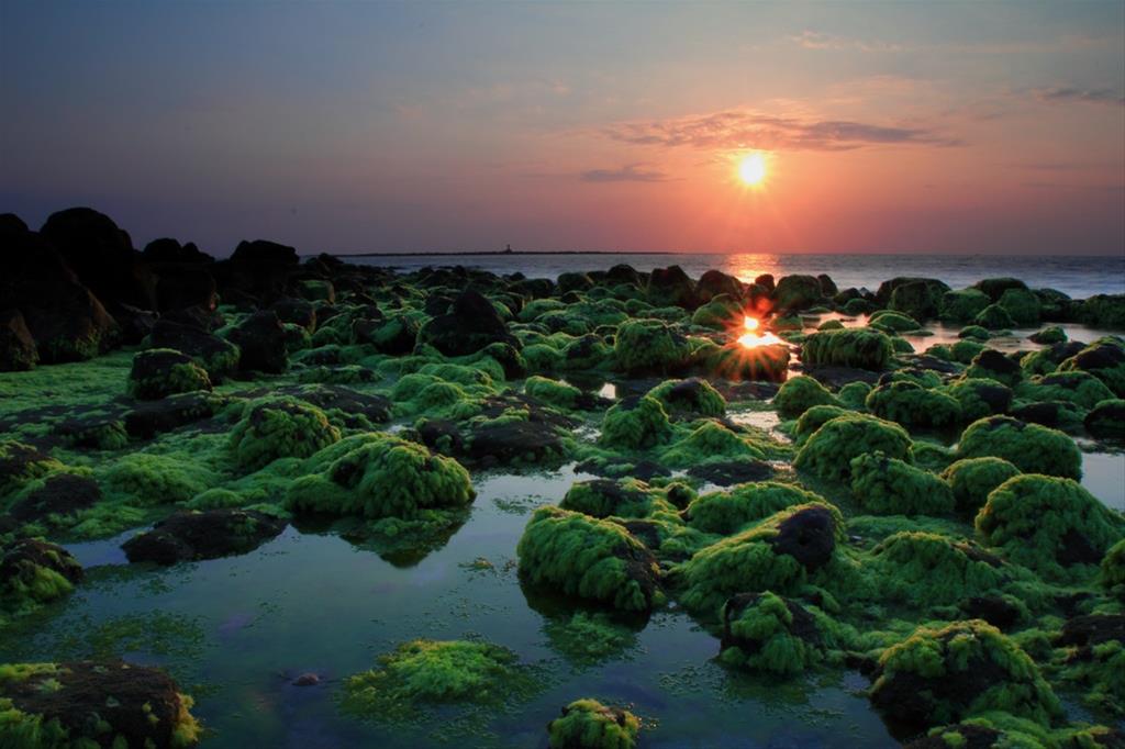 test-img