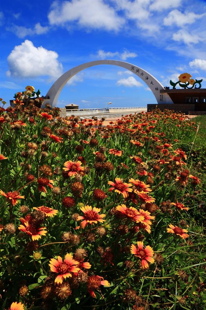test-img