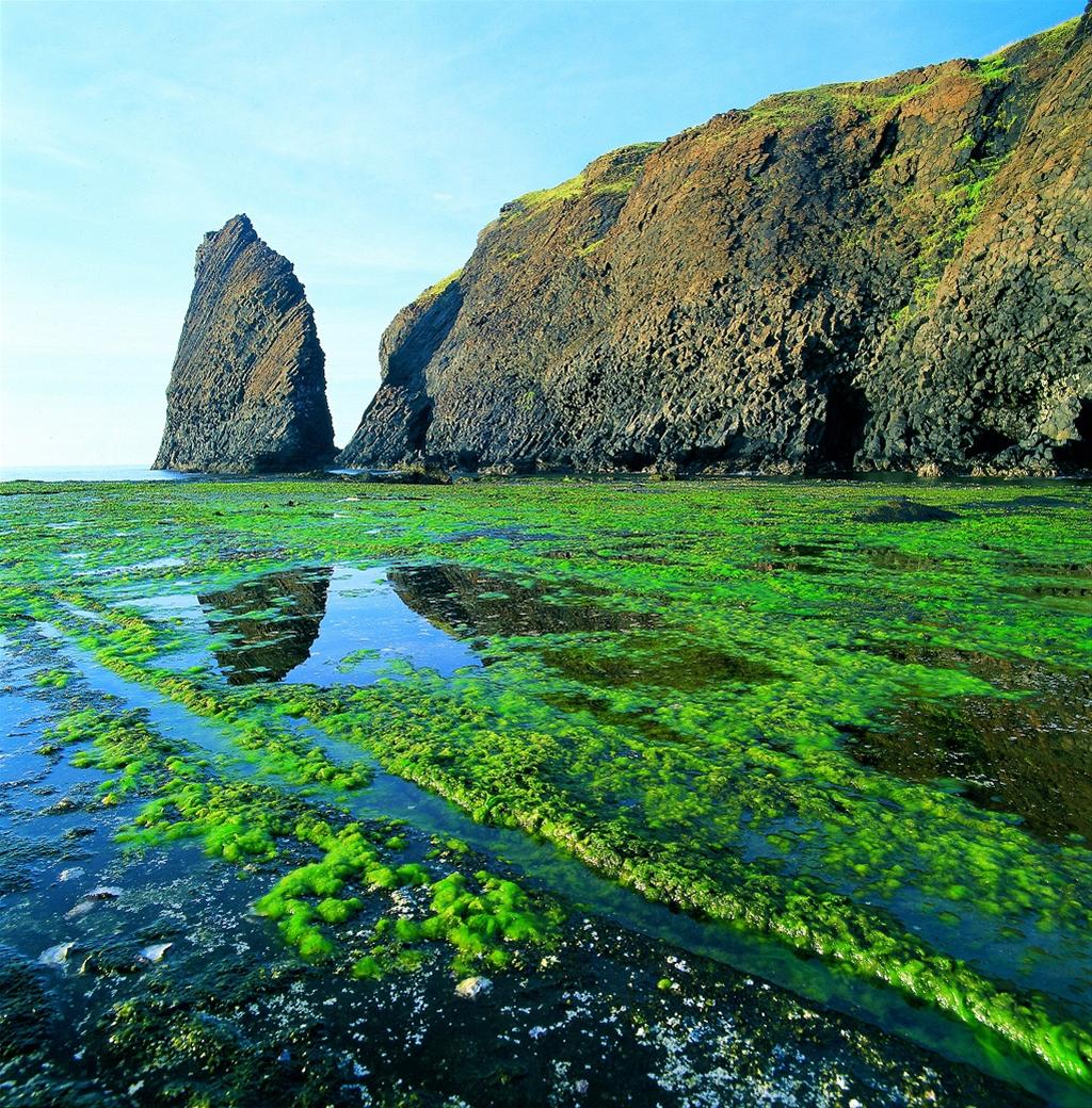 test-img