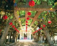 Tongliang Ancient Banyan