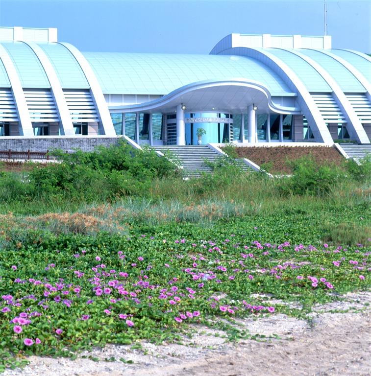 望安綠蠵龜觀光保育中心