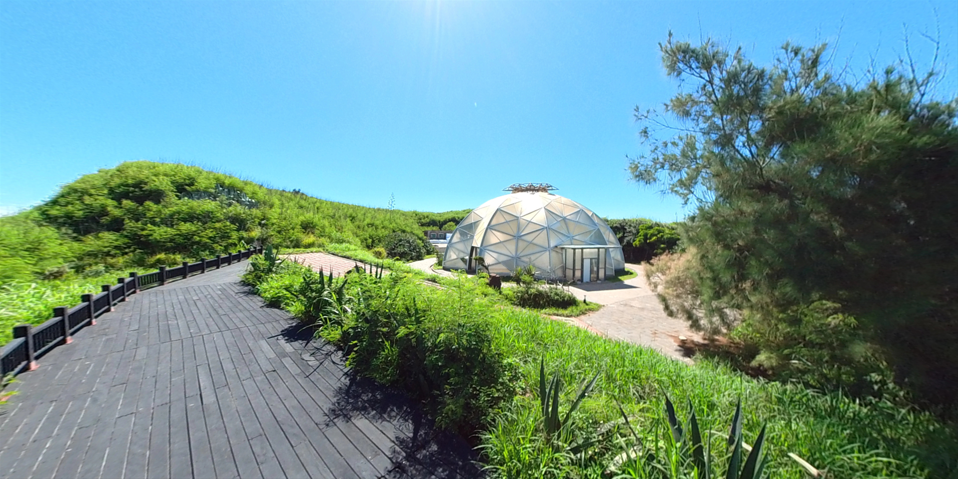 青灣仙人掌公園