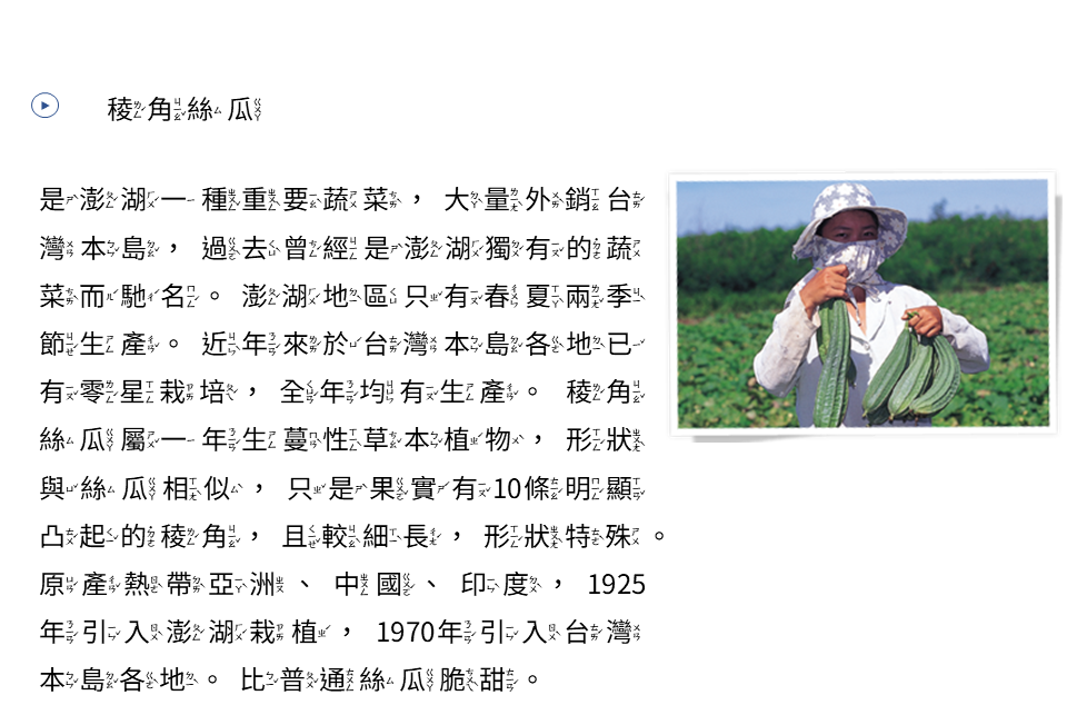 稜角絲瓜 稜角絲瓜