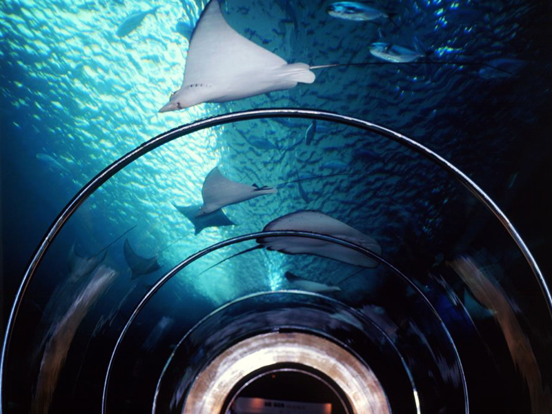 澎湖水族館